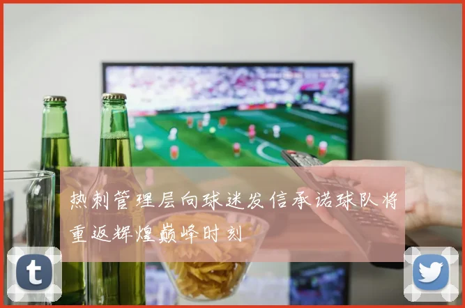热刺管理层向球迷发信承诺球队将重返辉煌巅峰时刻